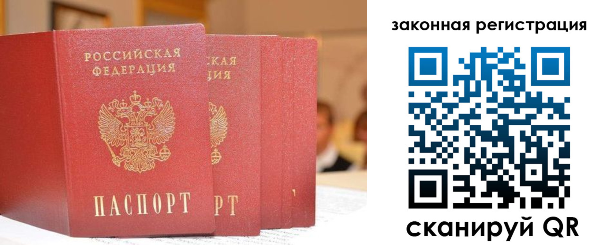 прописка поиск в Асино